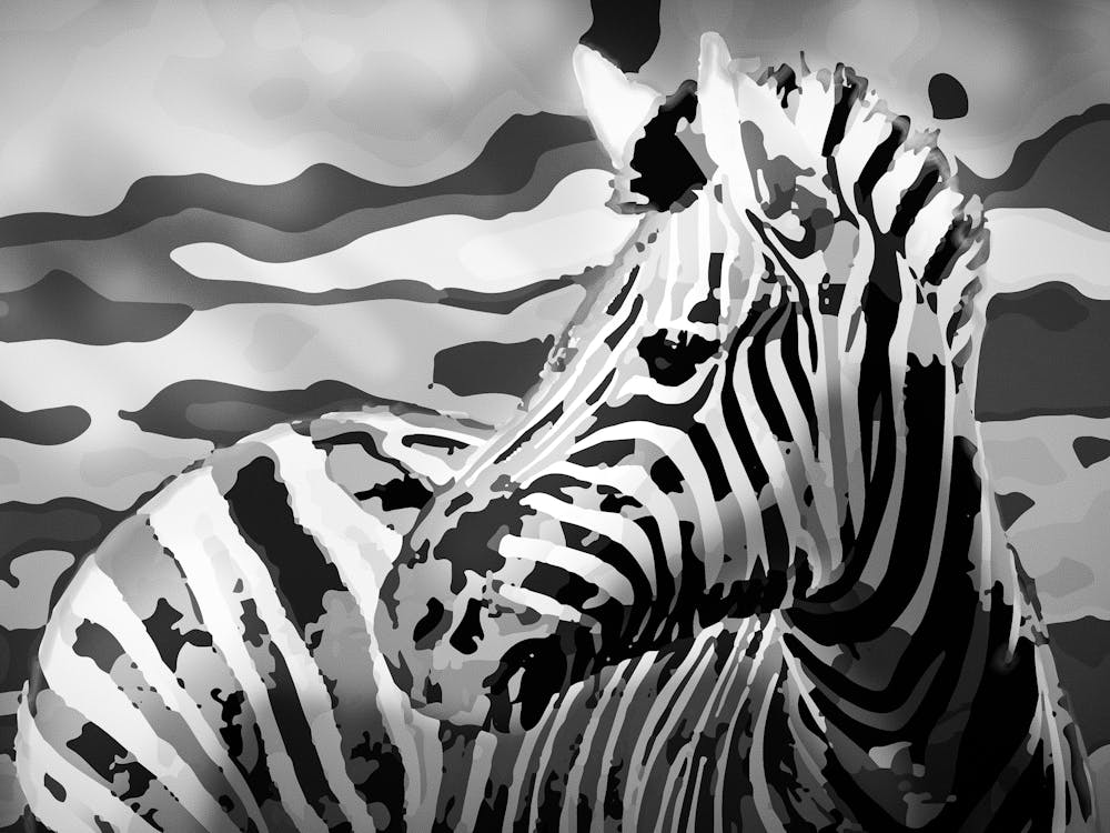 Zebra 3