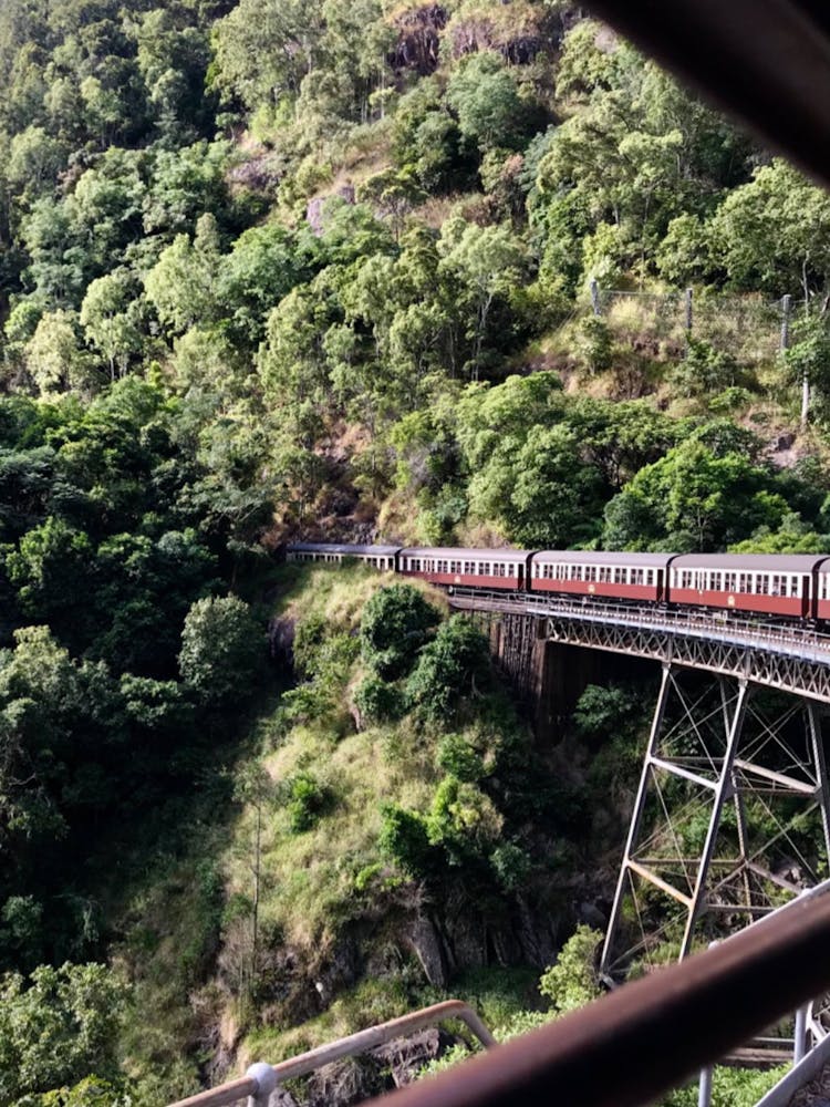 Train To Kuranda