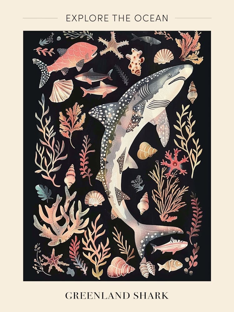 Greenland Shark Seascape Black Background Illustration 4 Poster