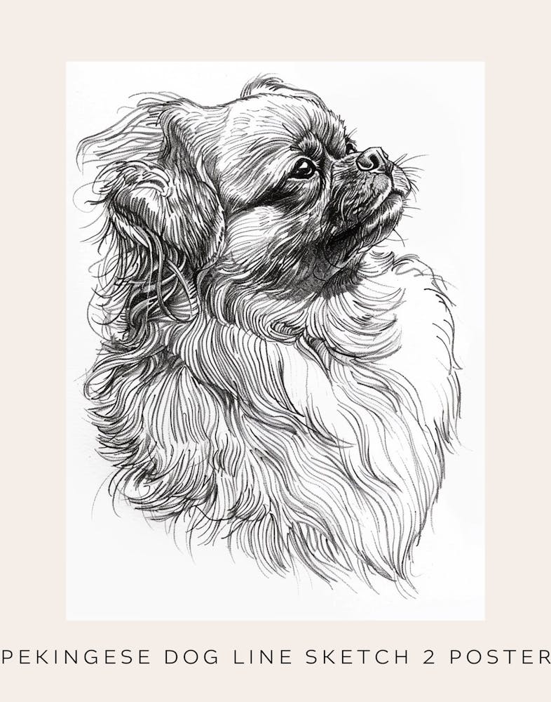 Pekingese Dog Line Sketch 2 Poster