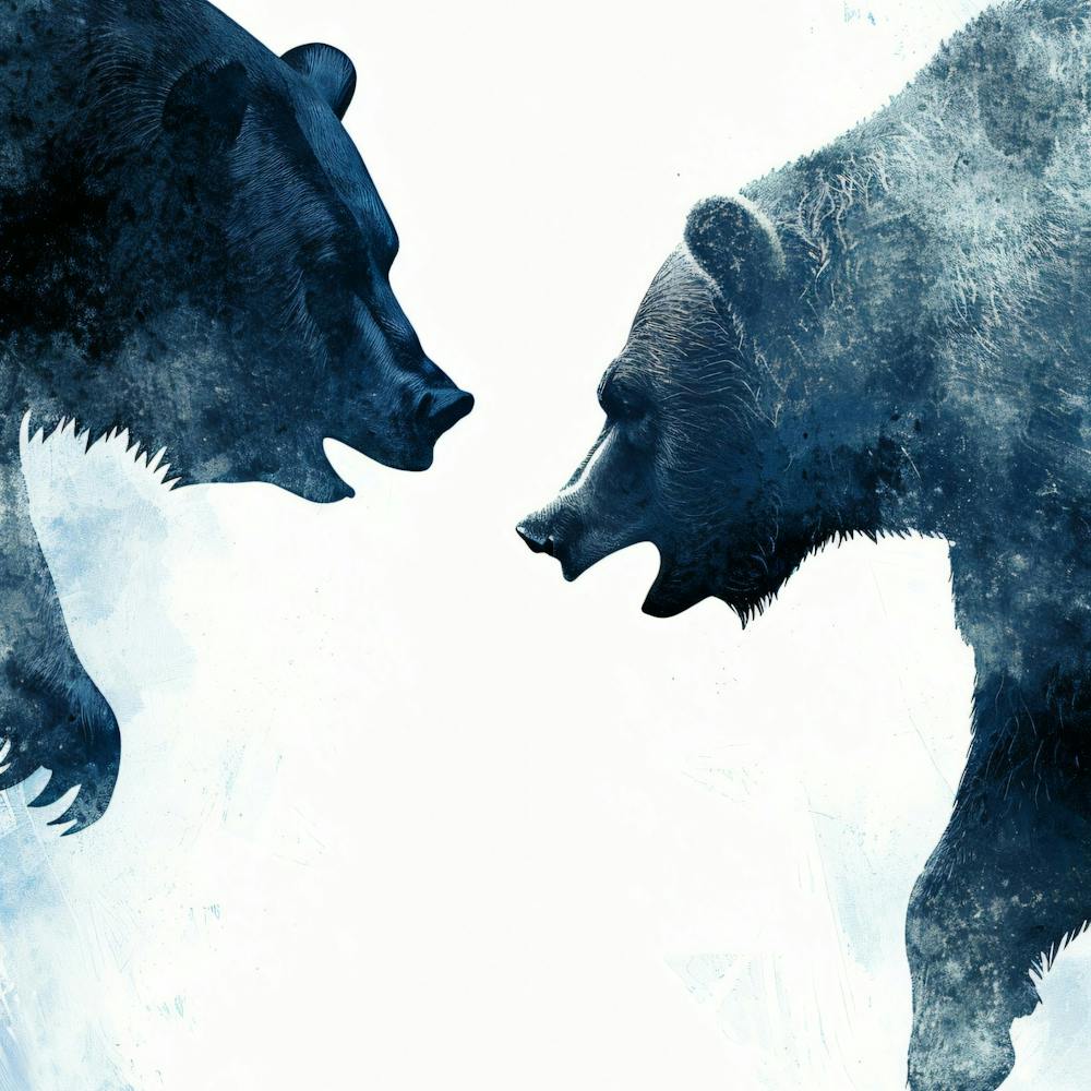Two Bears Fighting 1