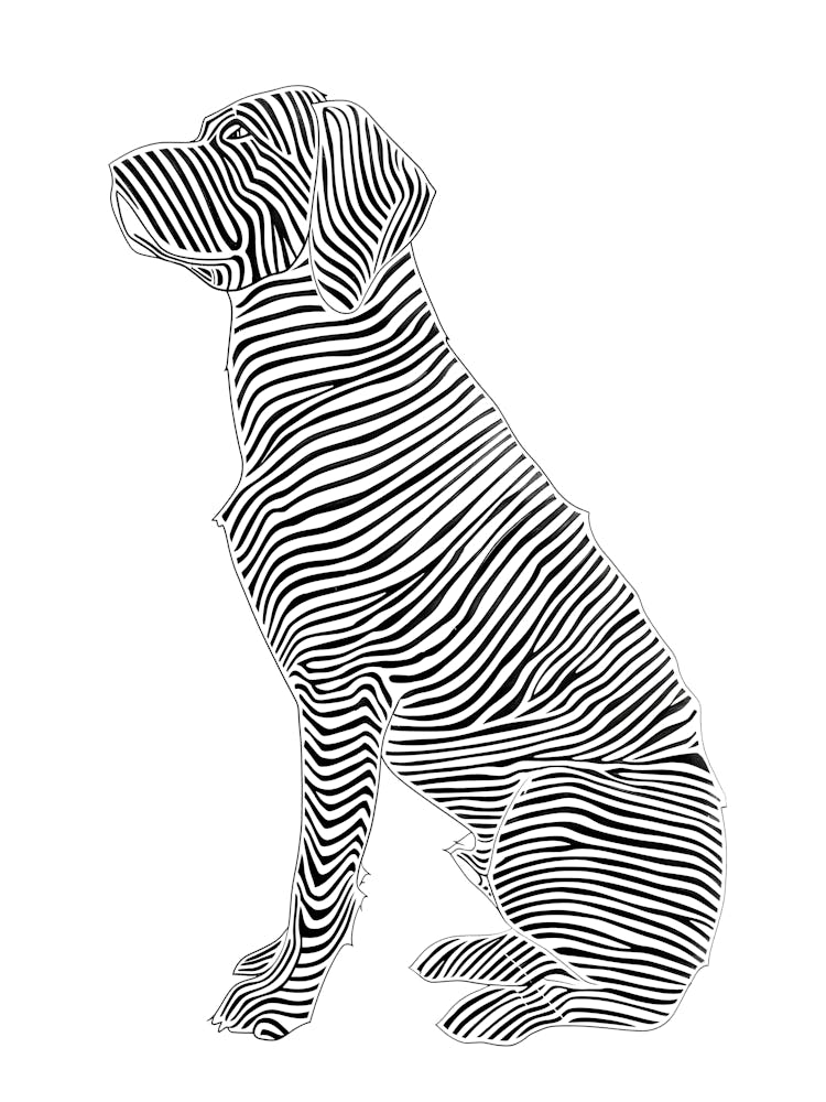 Zebra Dog animal lines art