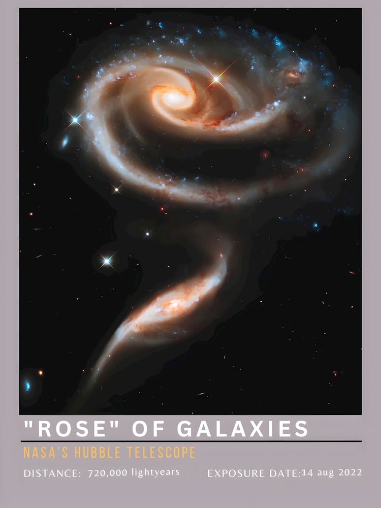 Rose Of Galaxies 1
