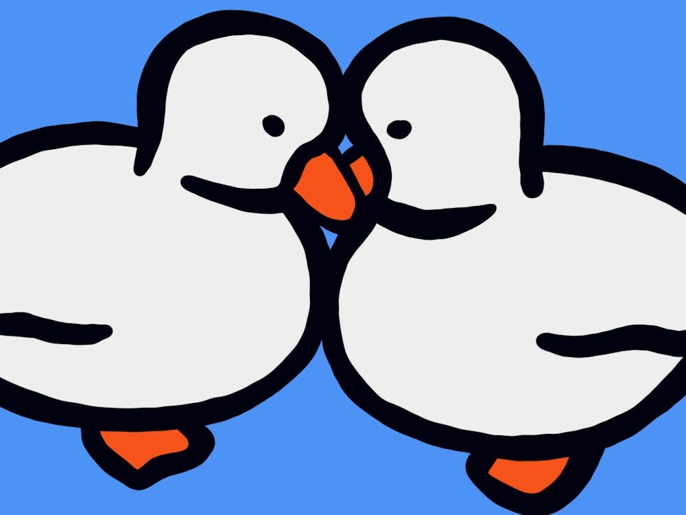 Couple Of Ducks Kissing