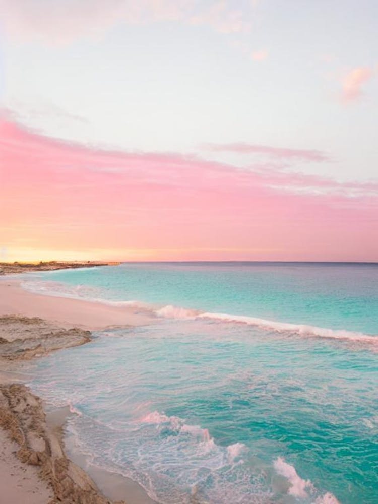 Flamingo Bay, Aruba Pink Photography 1