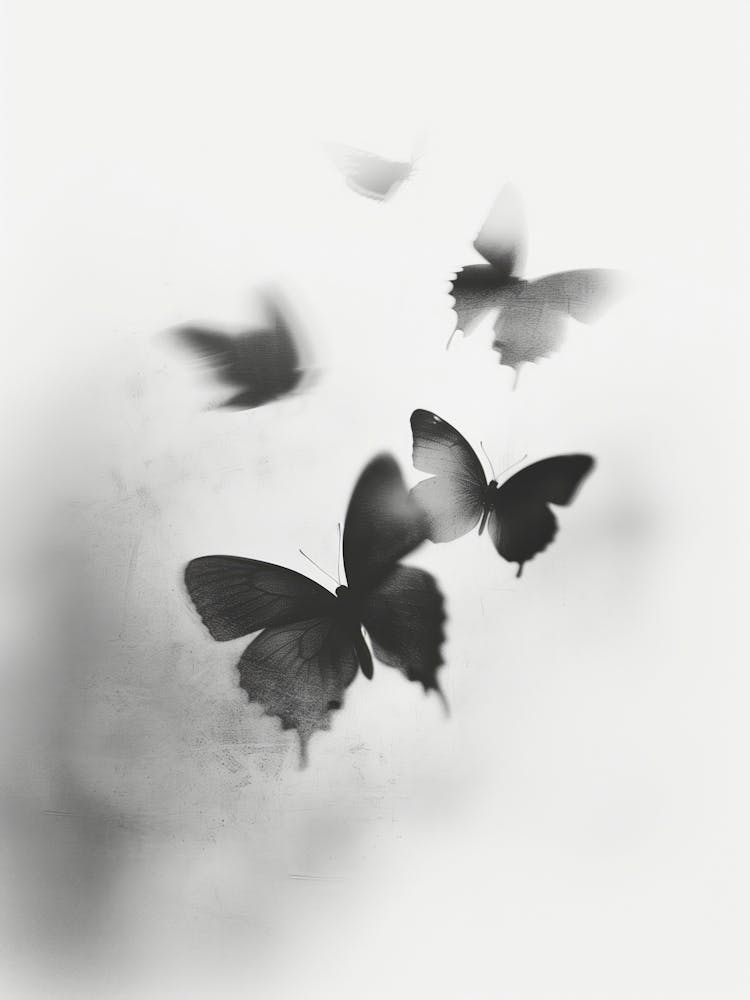 Dance Of The Butterflies No 3
