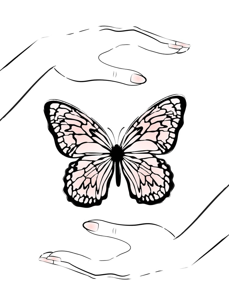 Holding Butterfly
