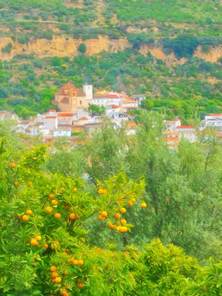 Orangenplantage und Spanisches Dorf