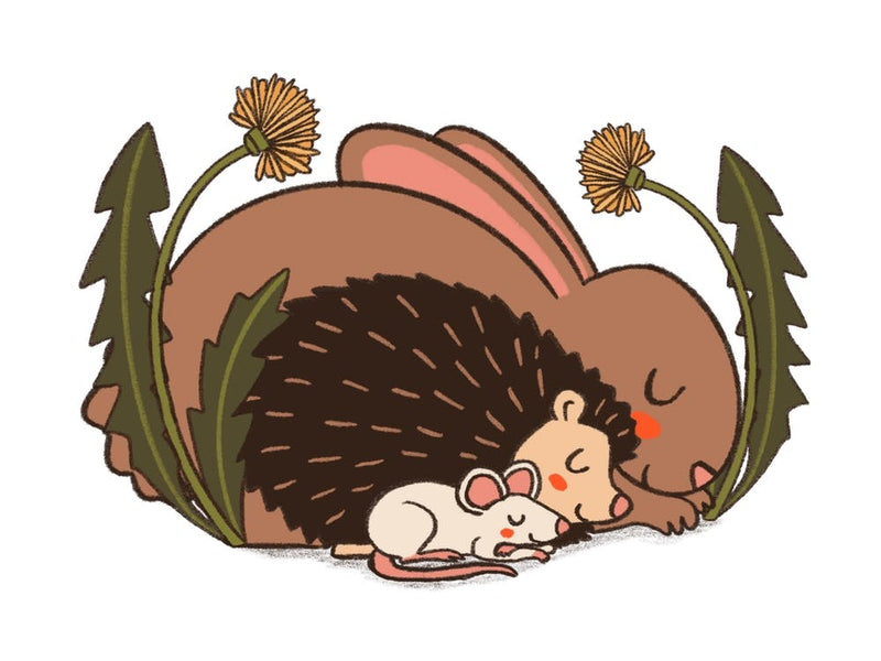 Rabbit Hedgehog Mouse Sleeping Between Dandelions Naptime Gang