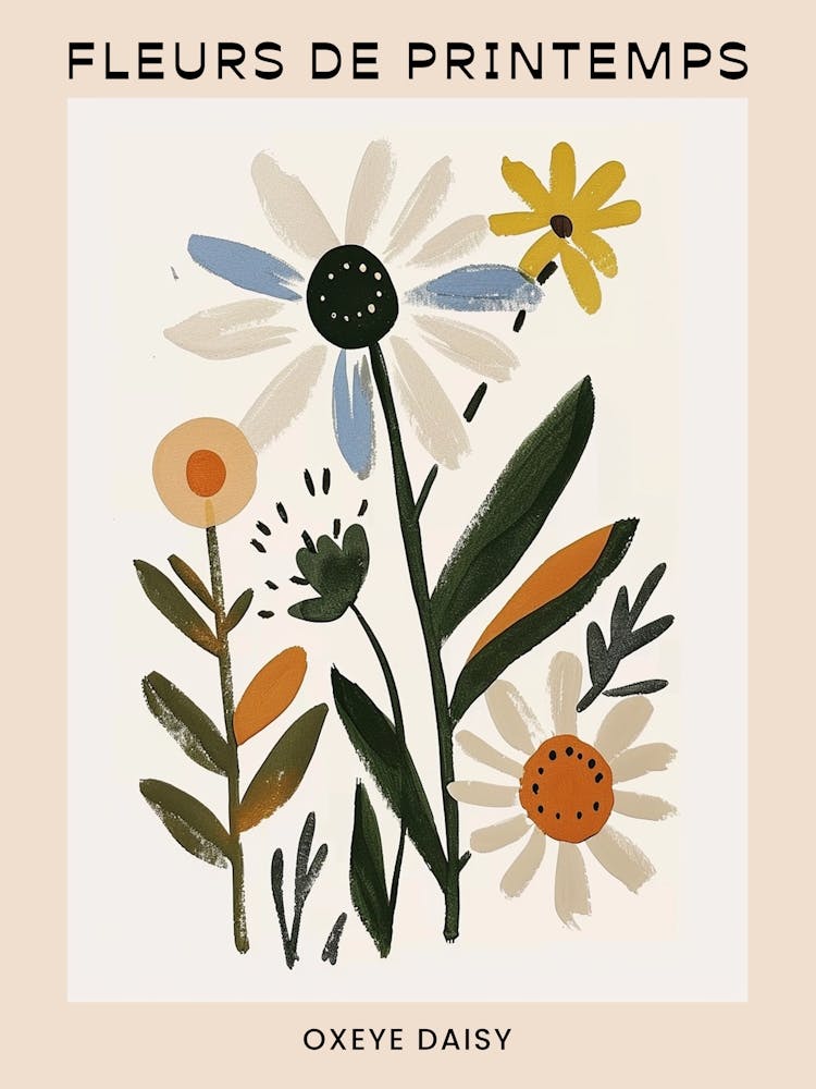 Spring Floral French Poster  Oxeye Daisy 1