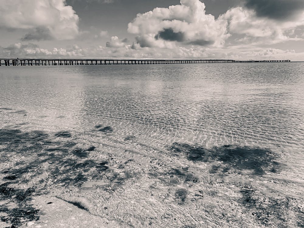 Black And White Coastal Pier