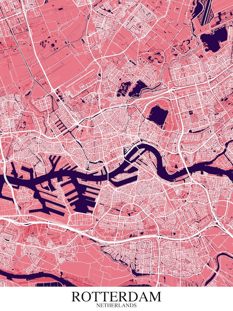 Rotterdam Pink Purple