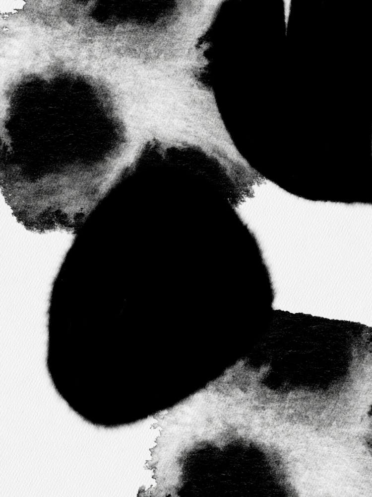 Black And White Paw Prints