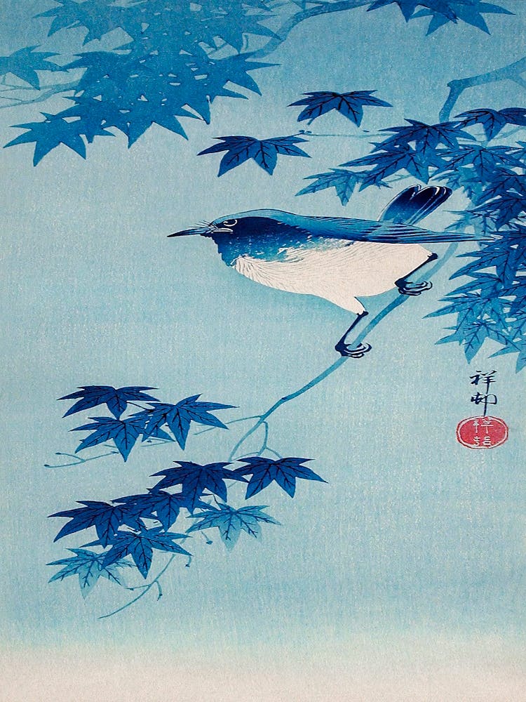 Robin On A Maple Branch (1935), Ohara Koson