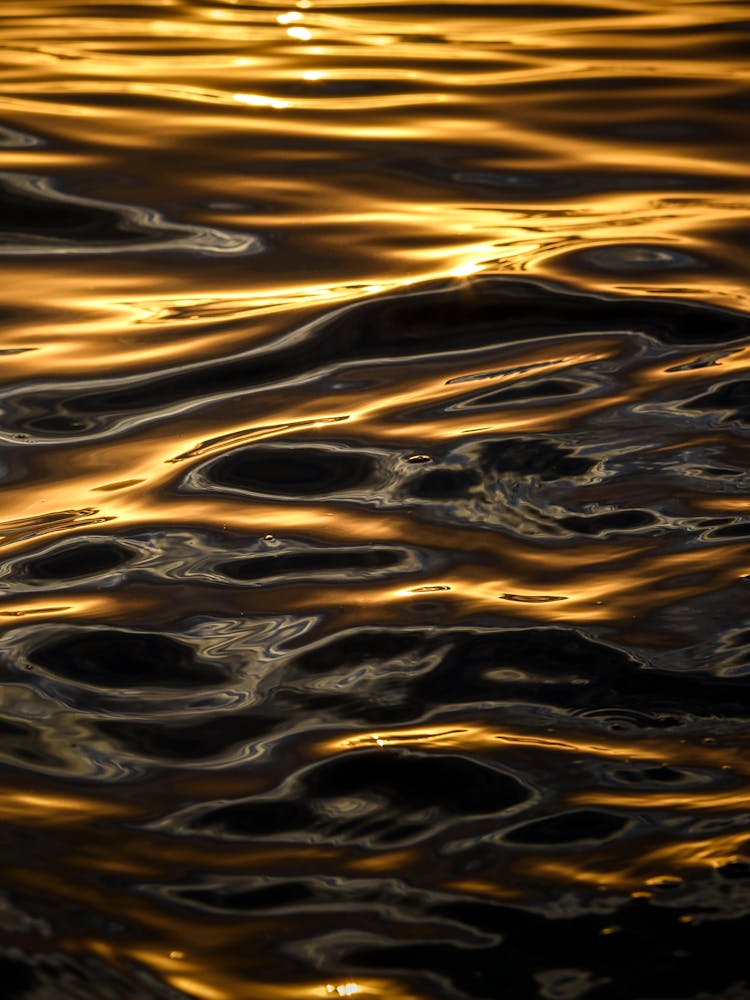 Water Ripples At Sunset