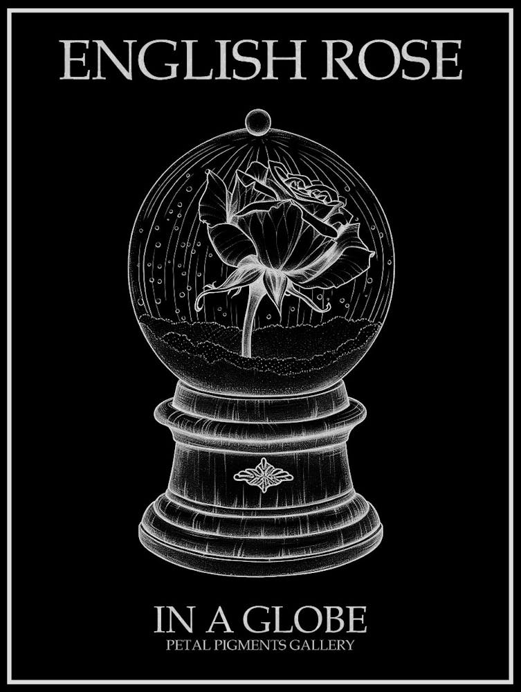 Dessin au trait de rose anglaise dans un globe 3 - Affiche inversée