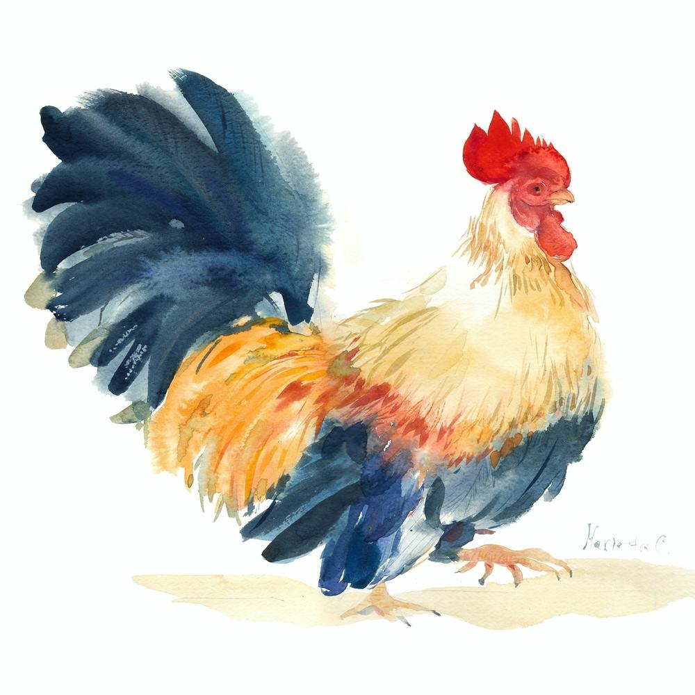 Blue Rooster1
