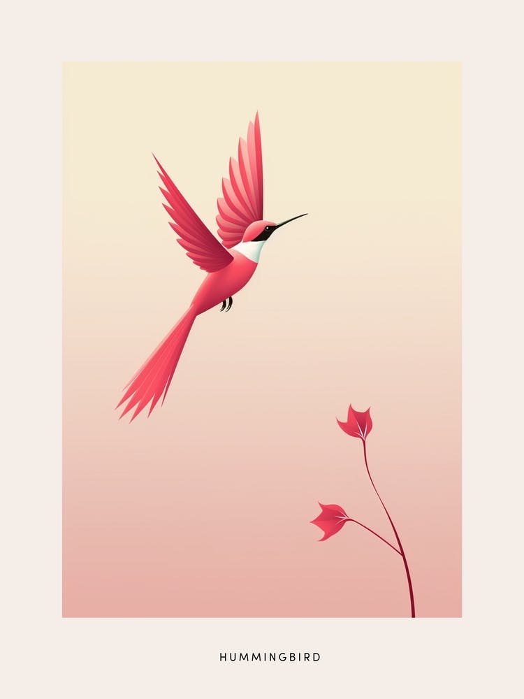 Minimalist Hummingbird 4 Bird Poster