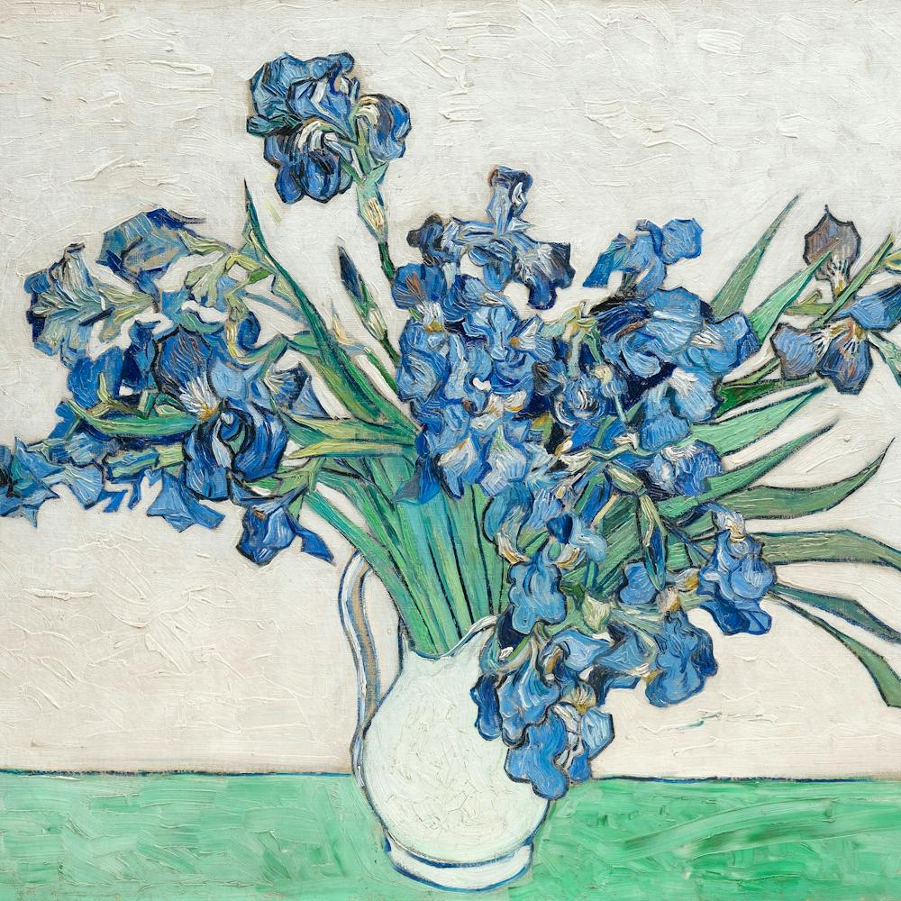 Vincent Van Gogh Irises (1890)