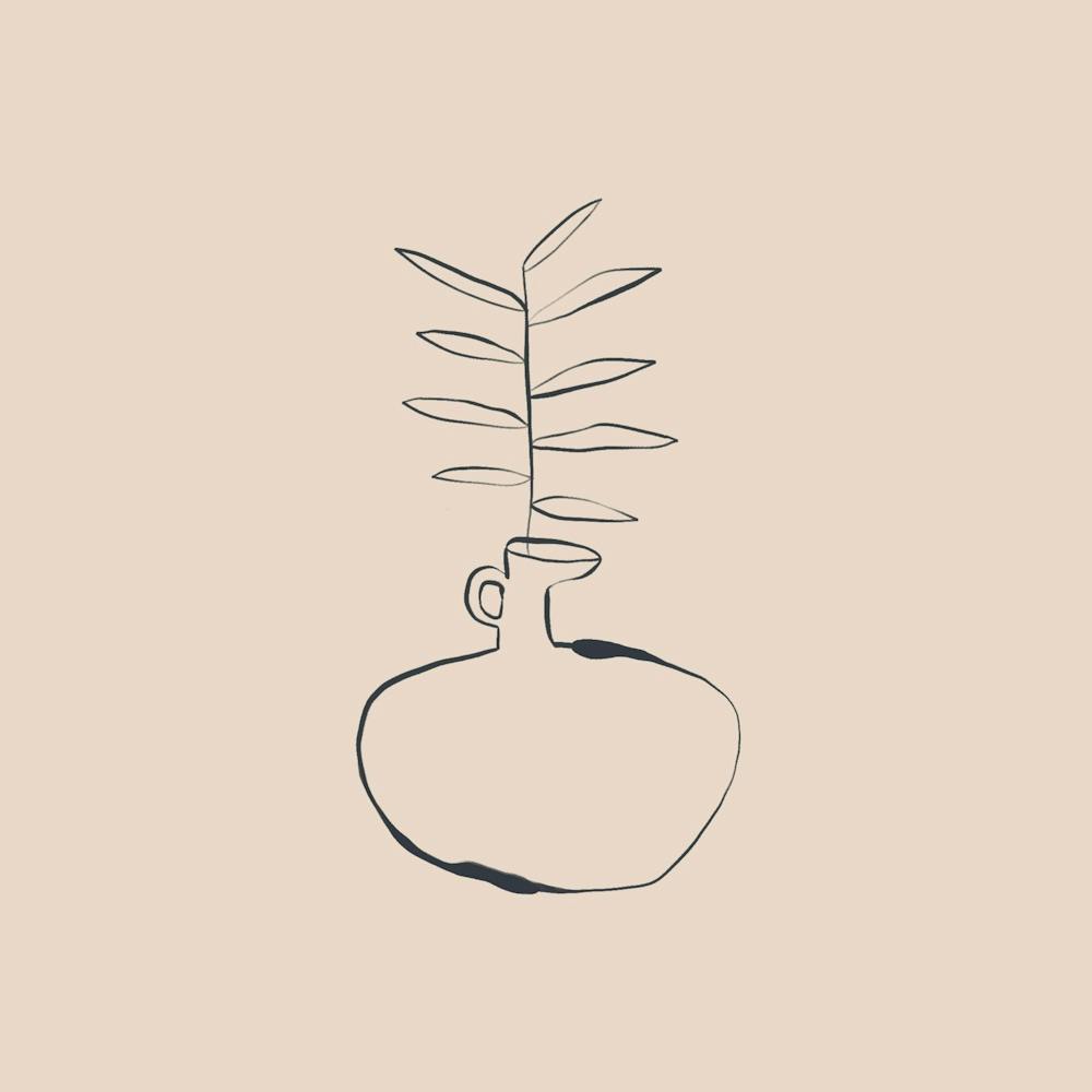 Olive Tree In A Vase
