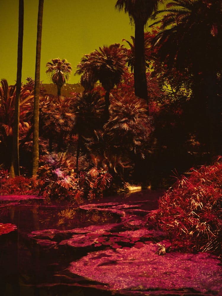 Palm Tree Print 'Alabama Garden'