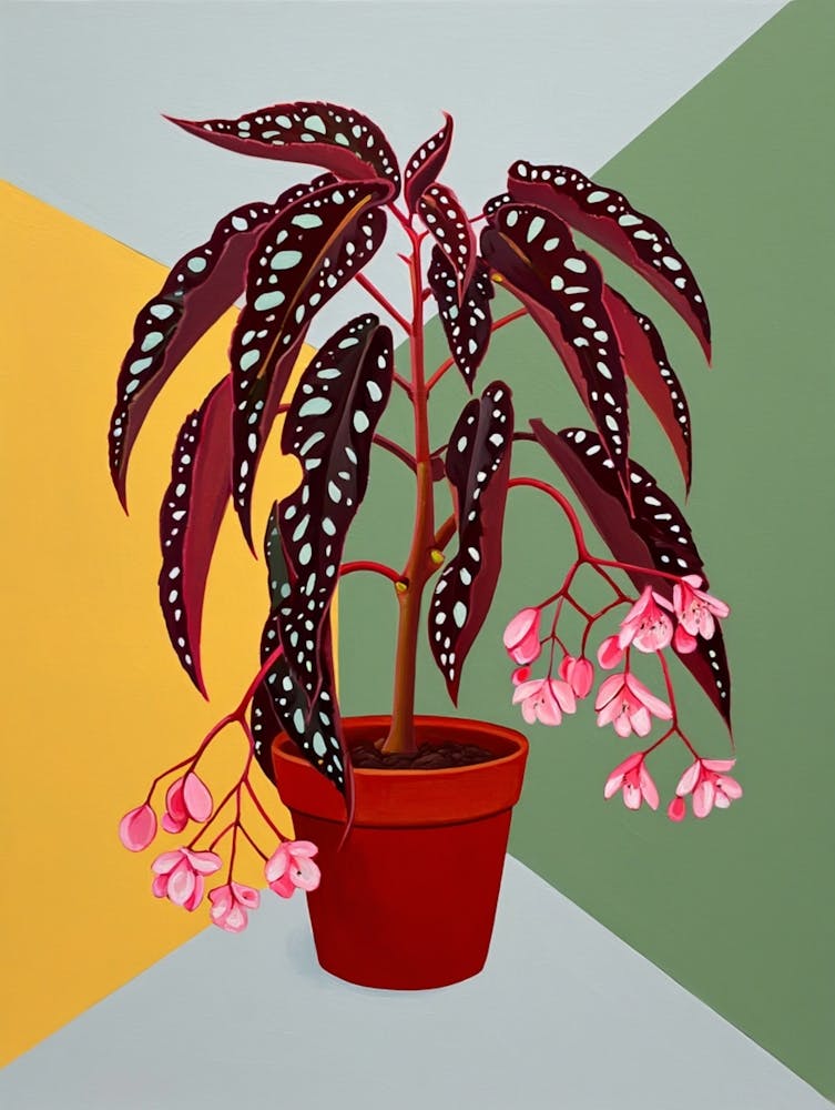 A botanical painting of an Angel Wing Begonia plant in a red terracotta pot