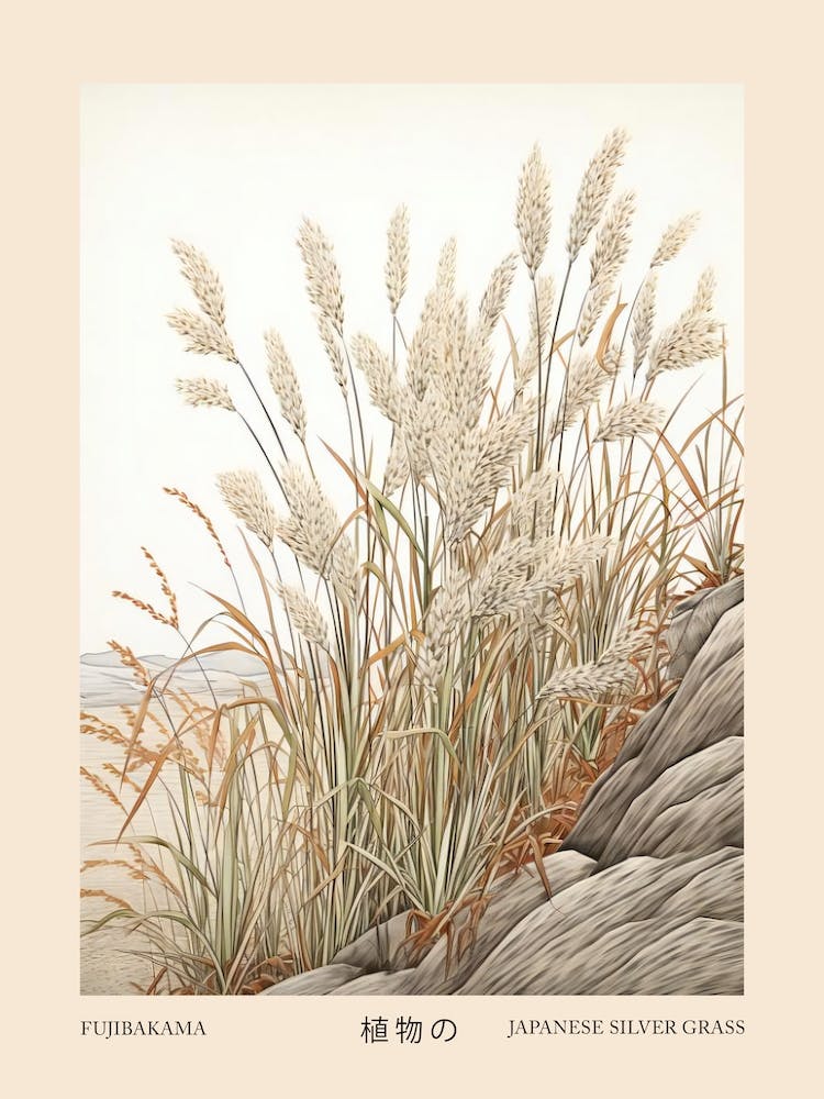 Fujibakama Japanese Silver Grass 3 Vintage Japanese Botanical Poster