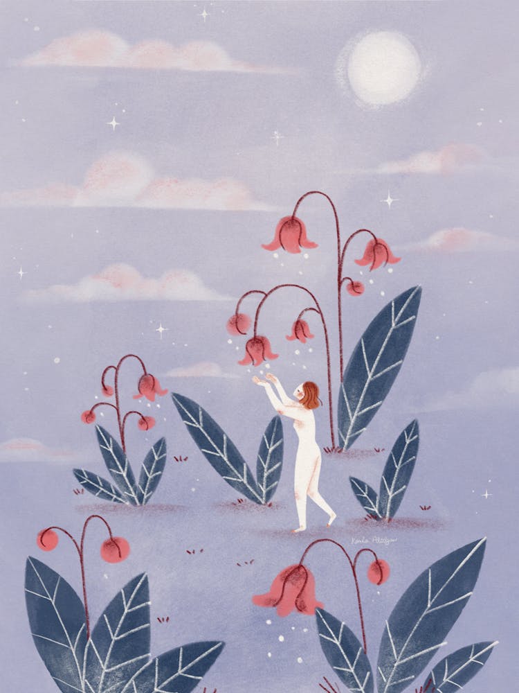 Midnight