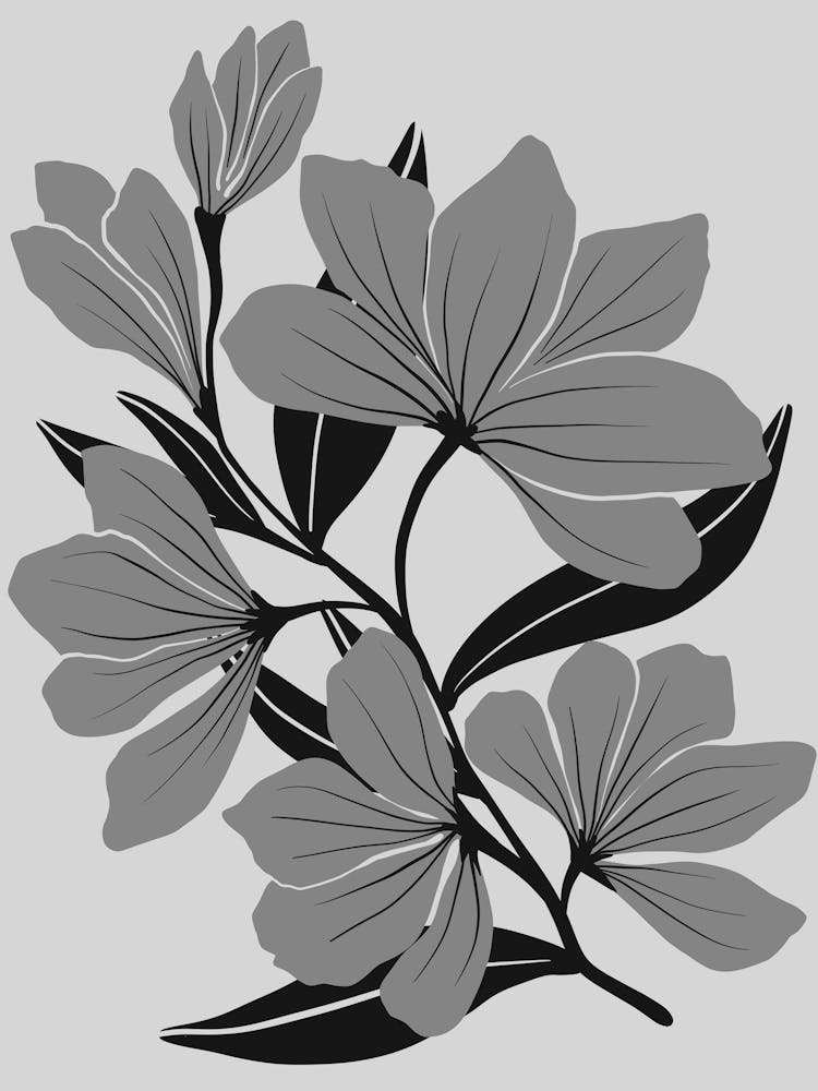 Black And White Flowers 98