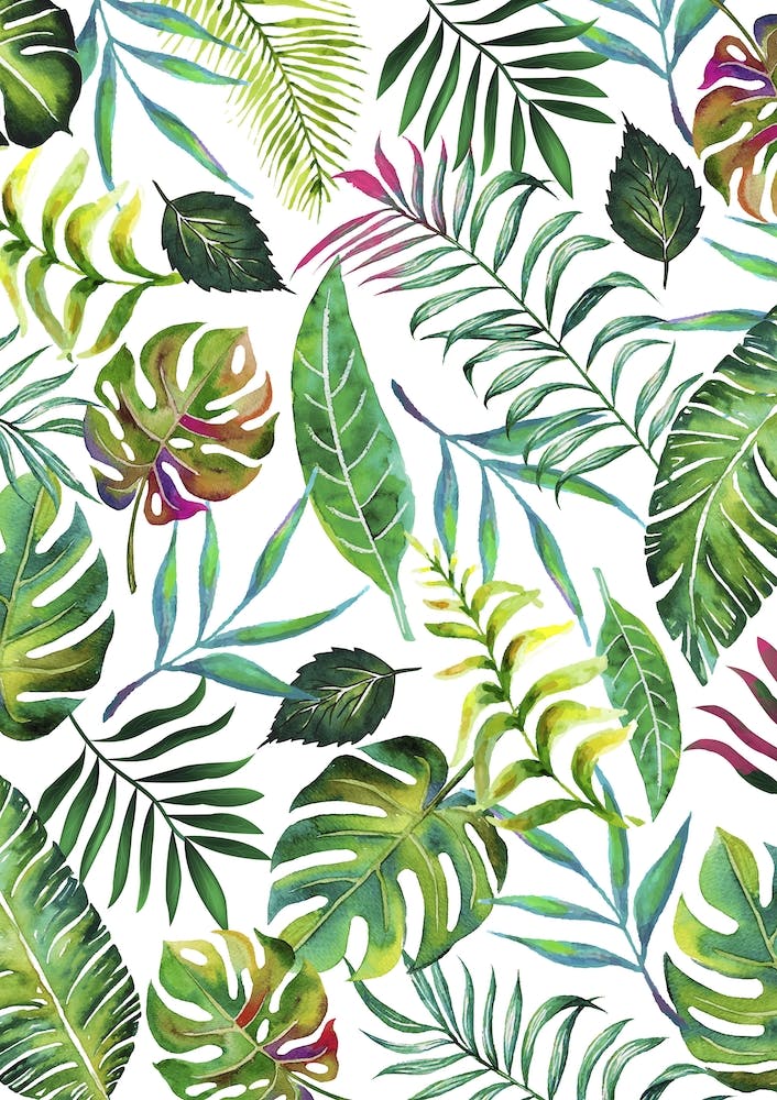 Tropical Flora