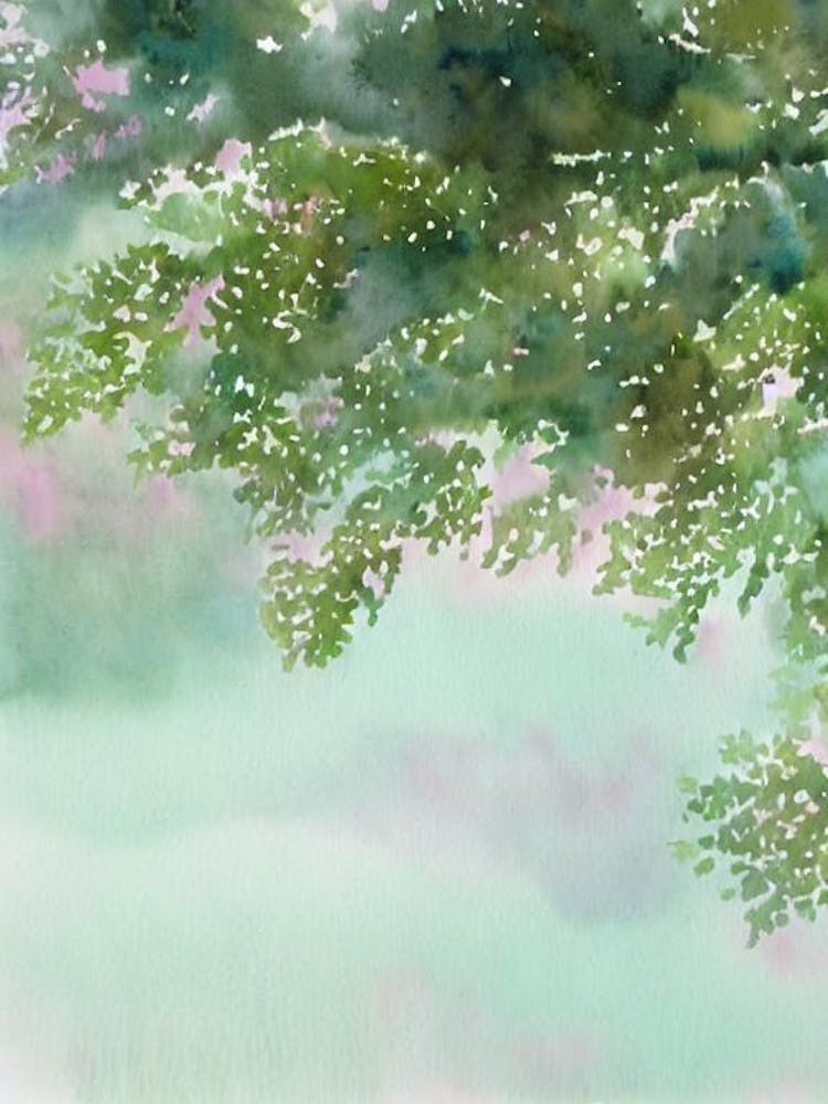 Acropora Formosa Iiii Storybook Watercolour