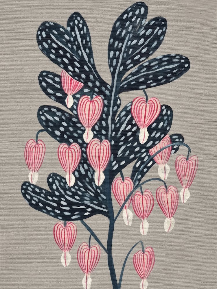 Bleeding Heart Flower Drawing
