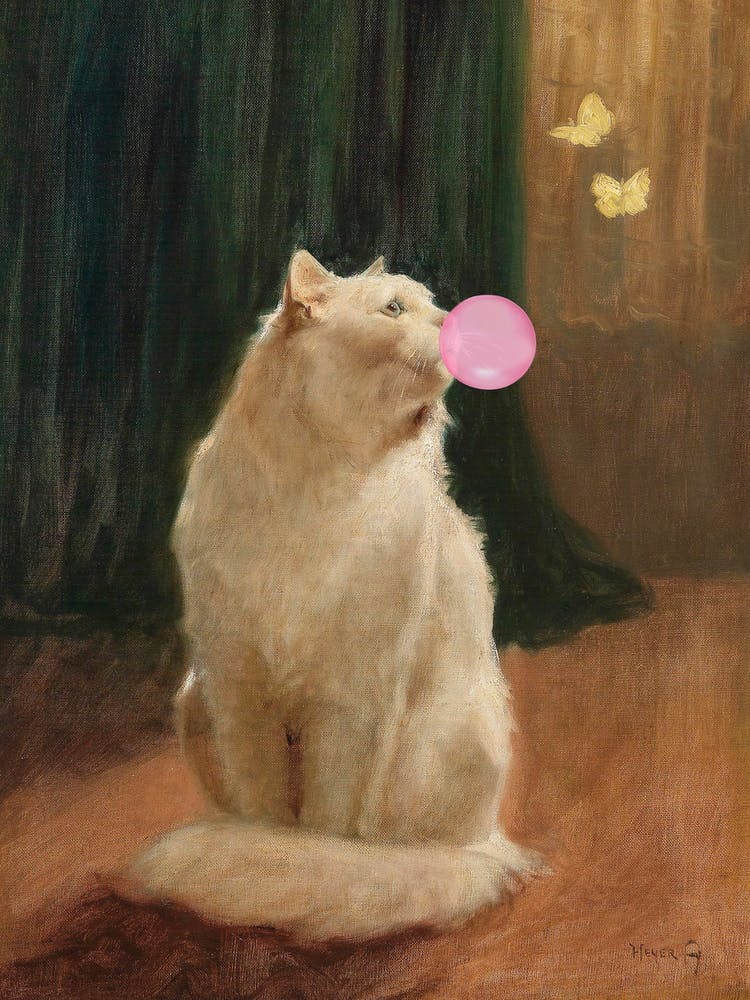 Bubble Gum and Cat