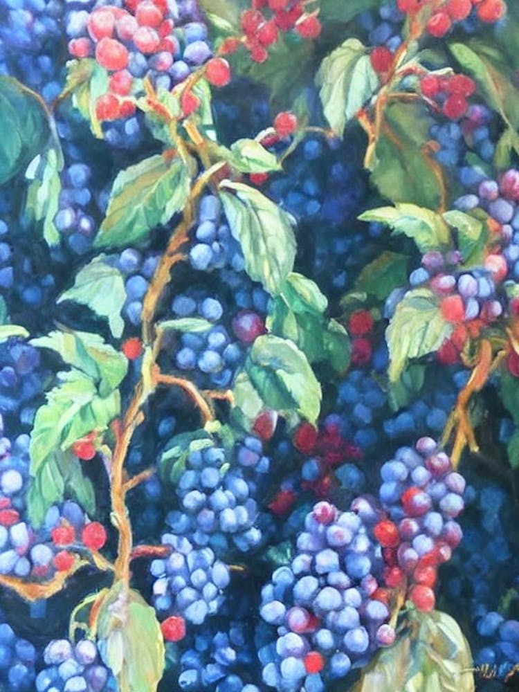 Marionberry 3 Classic Fruit