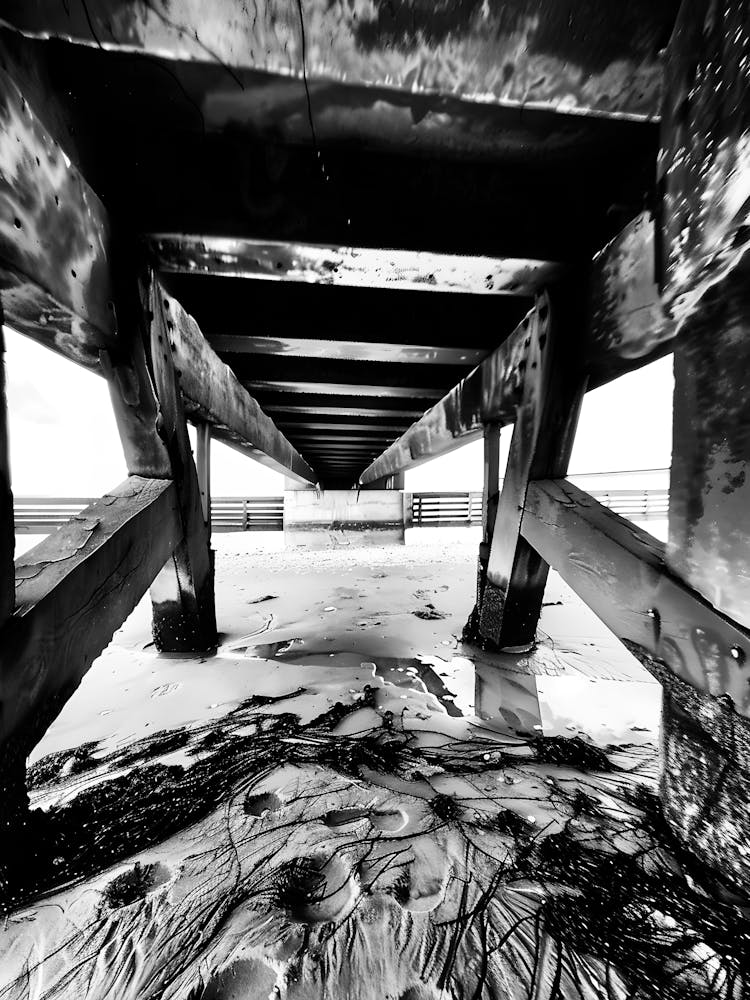 Under The Bridge
