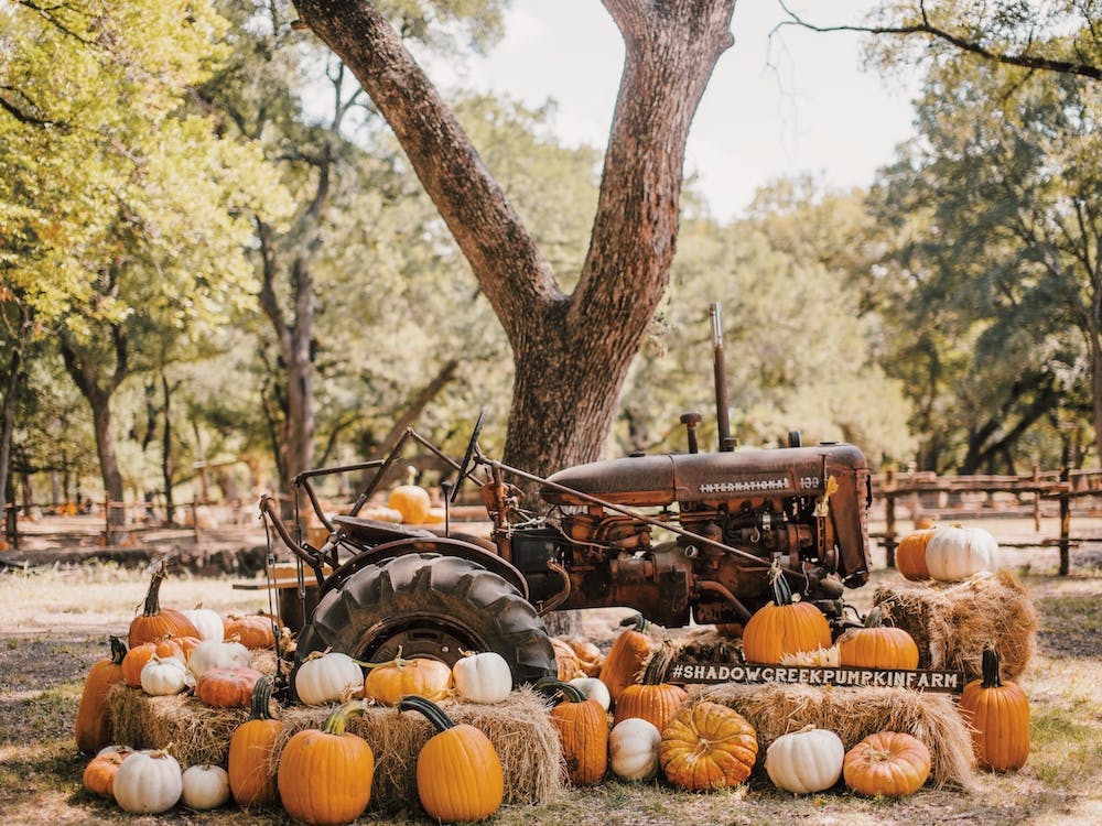 Autumn Tractor Harvest