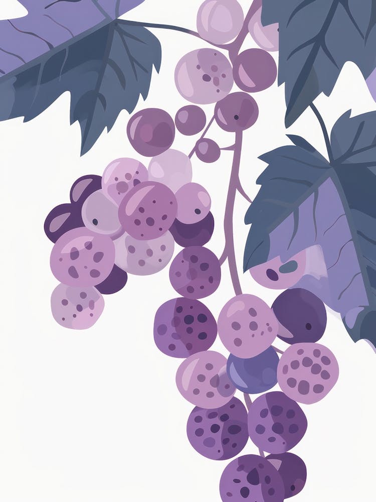 Grapes Close Up Illustration 2