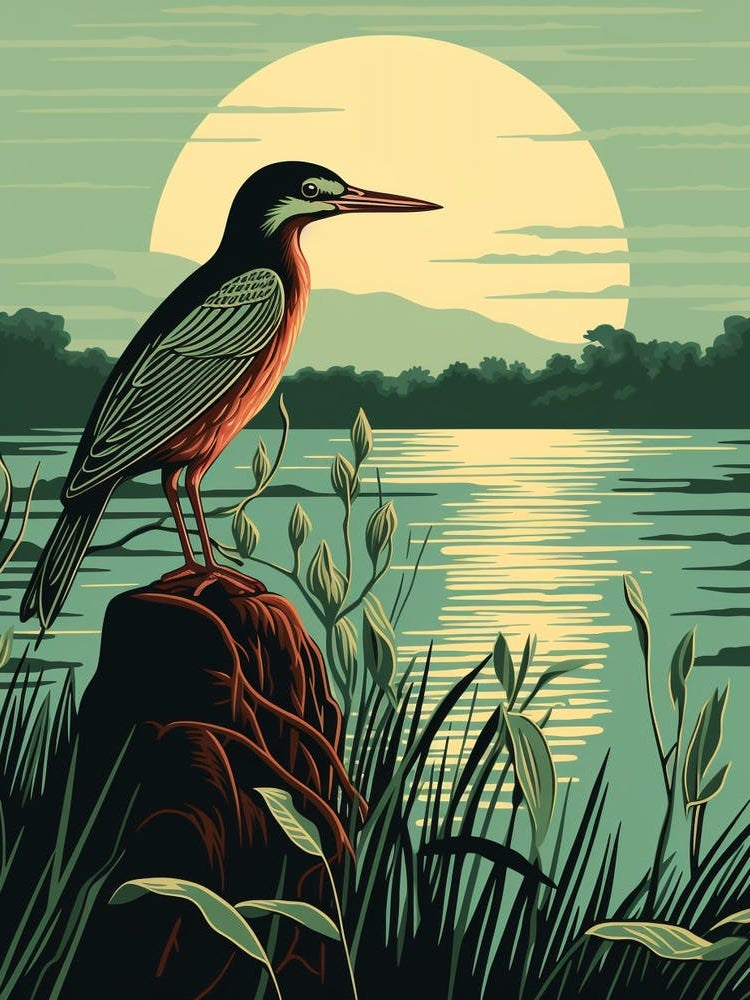 Vintage Bird Linocut Green Heron 4