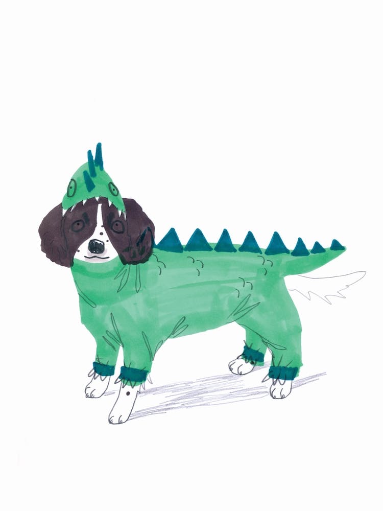 Spaniel Dragon