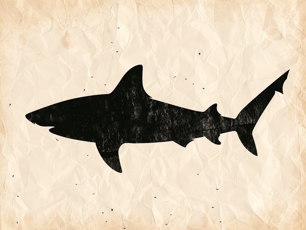 Whale Shark Grey Silhouette 5