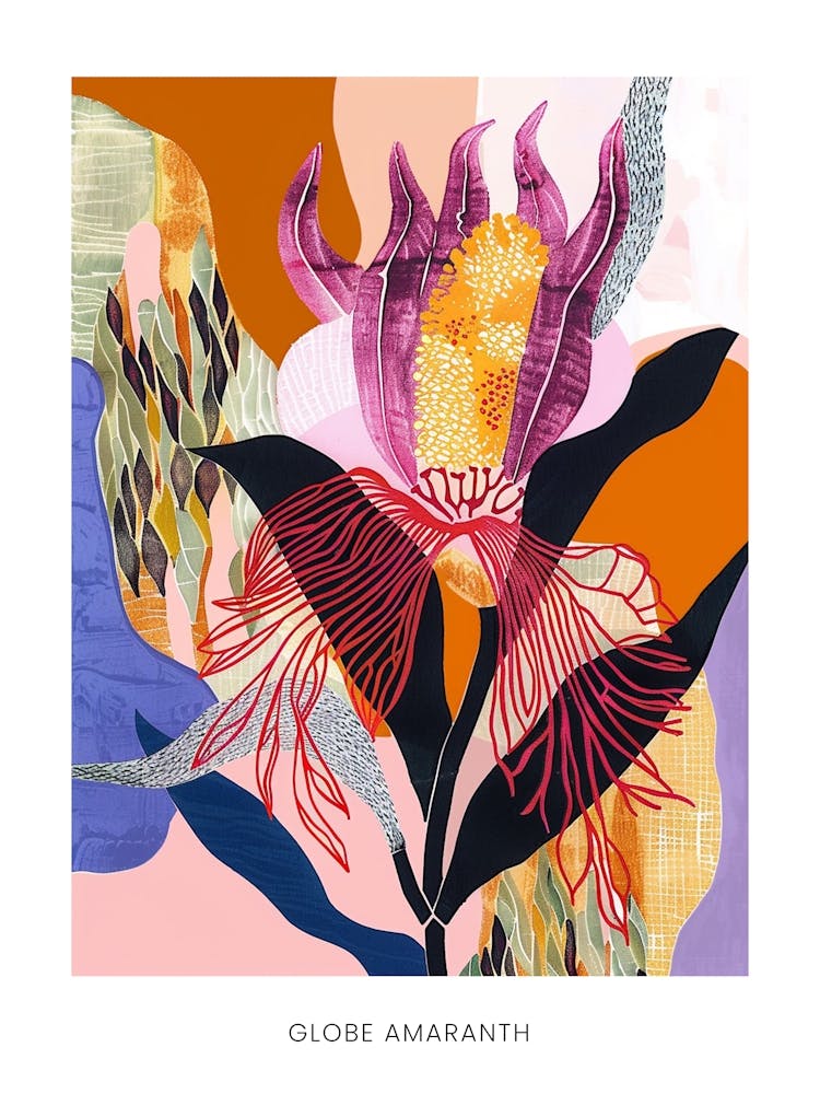 Colourful Flower Illustration Poster Globe Amaranth 1