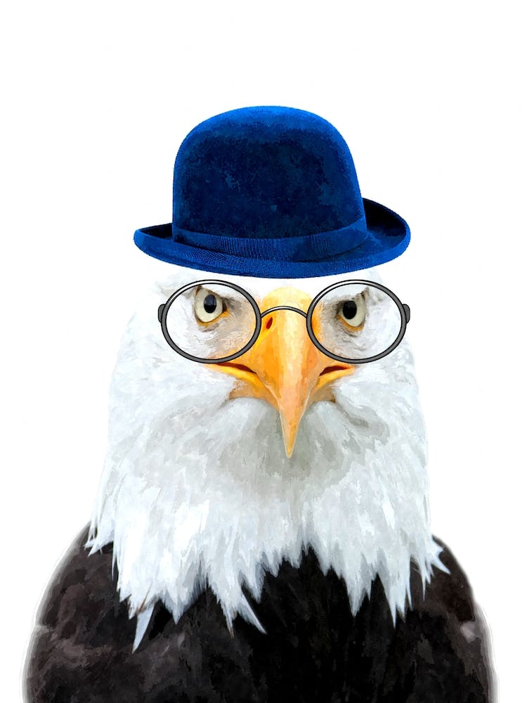 Cute Eagle for Kids