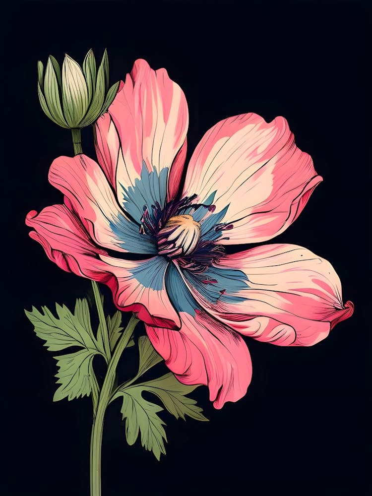 Anemonenblume 2