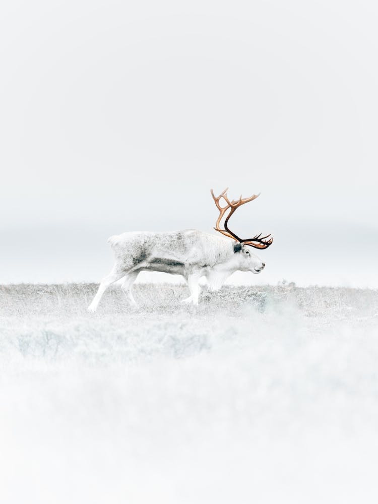 Made to face the hardest conditions