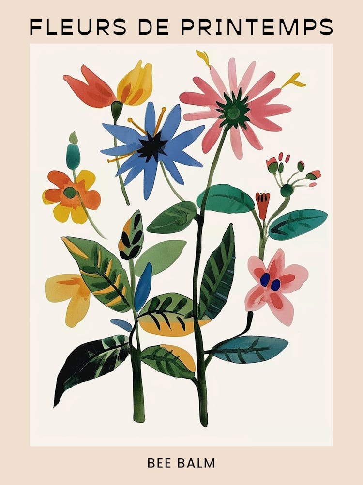 Spring Floral French Poster  Bee Balm 2