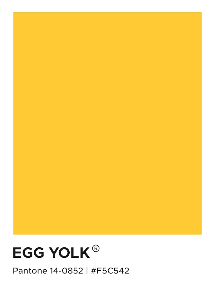 Egg Yolk Pantone, food, eggs, omelette, mood, vibes, decor, modern, colorful, pantone, swatch, aesthetic, cool, cute, autumn, bright, colorful, yellow, vibrant, cool, kitchen, decor