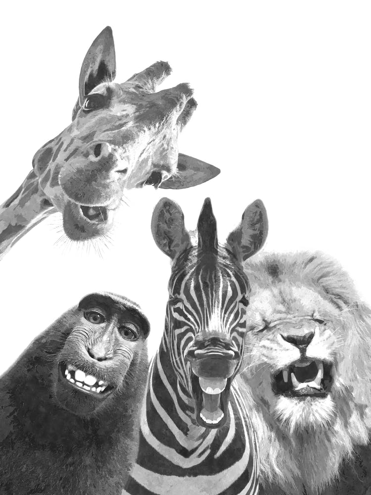 Black and White Happy Jungle Animals