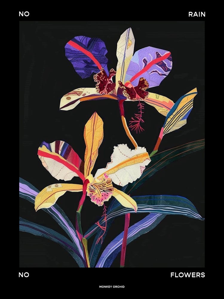 No Rain No Flowers Poster Monkey Orchid 3