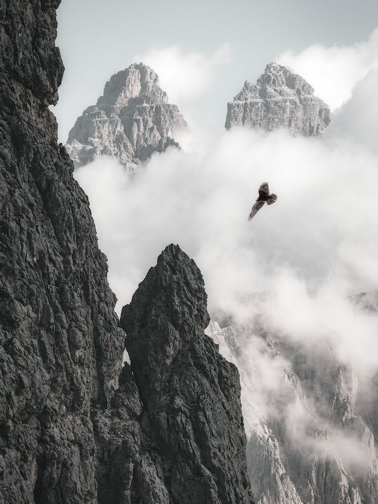 Eagle And Three Peaks Of Lavaredo, Auronzo Di Cadore, Italy
