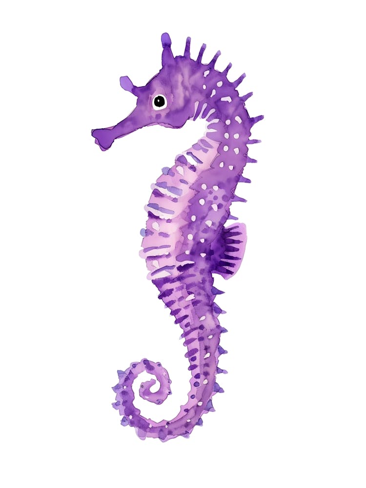 Seahorse 10
